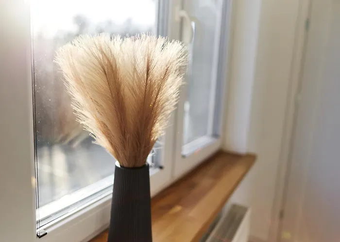 Park & Town * Drawsko Pomorskie